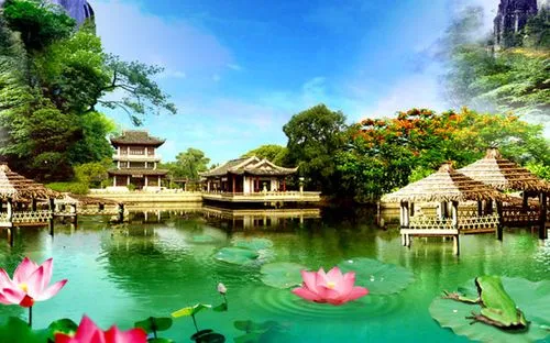 全自动独特独特